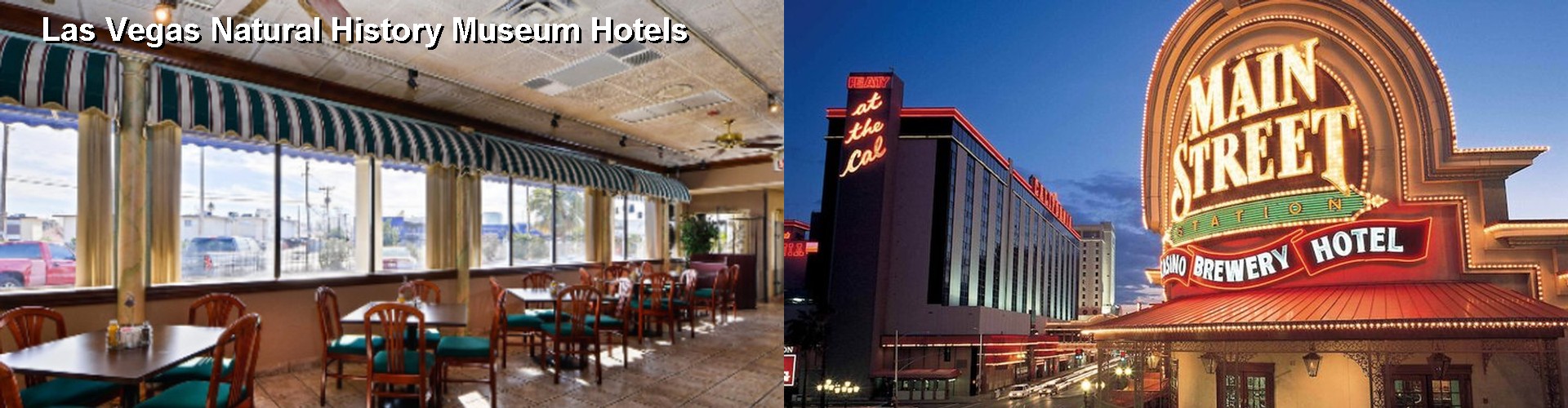 5 Best Hotels near Las Vegas Natural History Museum