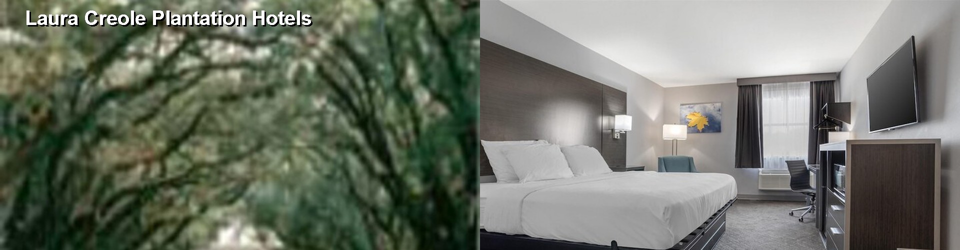 5 Best Hotels near Laura Creole Plantation