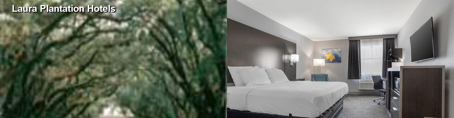 5 Best Hotels near Laura Plantation