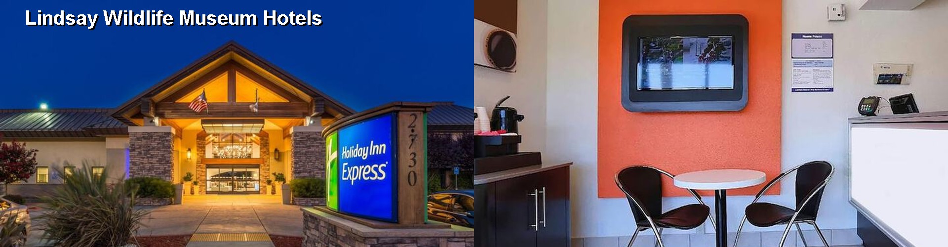 5 Best Hotels near Lindsay Wildlife Museum