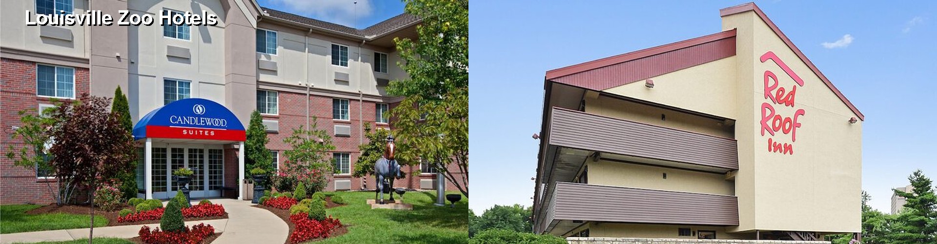 2 Best Hotels near Louisville Zoo
