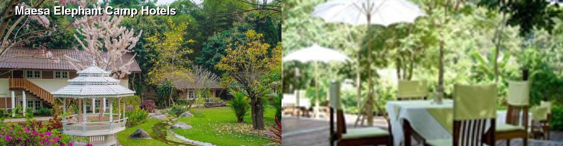 5 Best Hotels near Maesa Elephant Camp