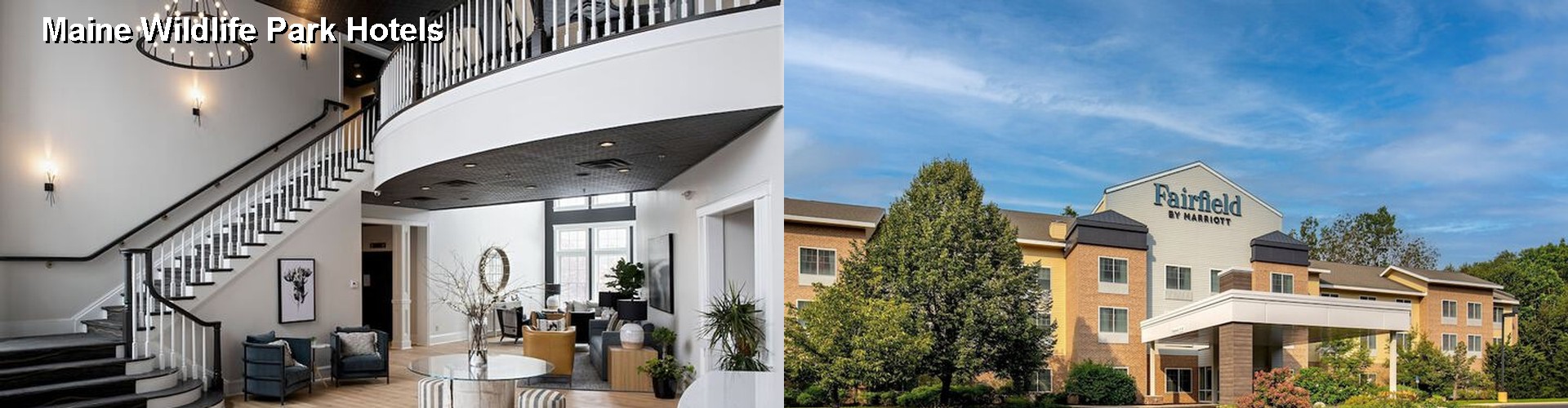 5 Best Hotels near Maine Wildlife Park