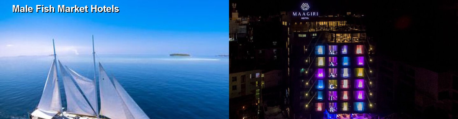 4 Best Hotels near Male Fish Market