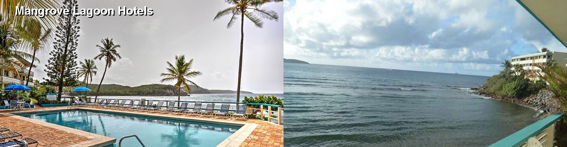 5 Best Hotels near Mangrove Lagoon