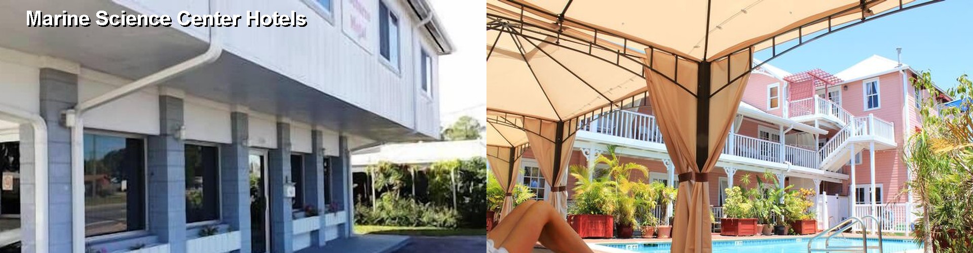 2 Best Hotels near Marine Science Center