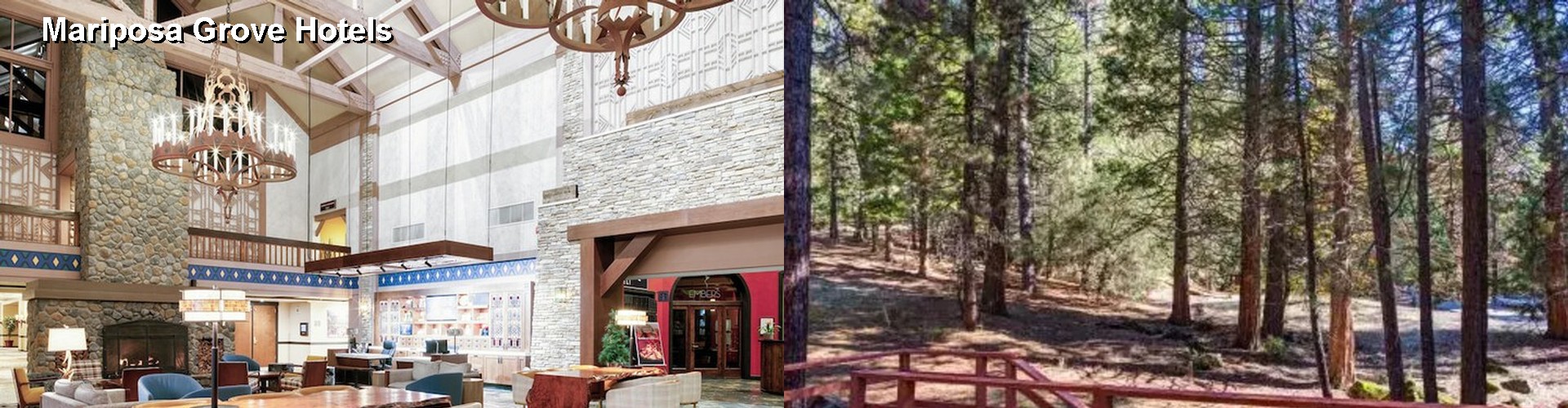 5 Best Hotels near Mariposa Grove