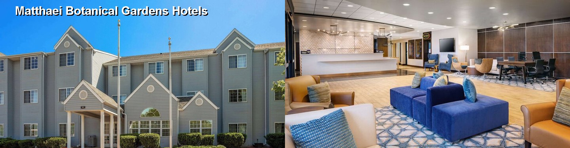 5 Best Hotels near Matthaei Botanical Gardens