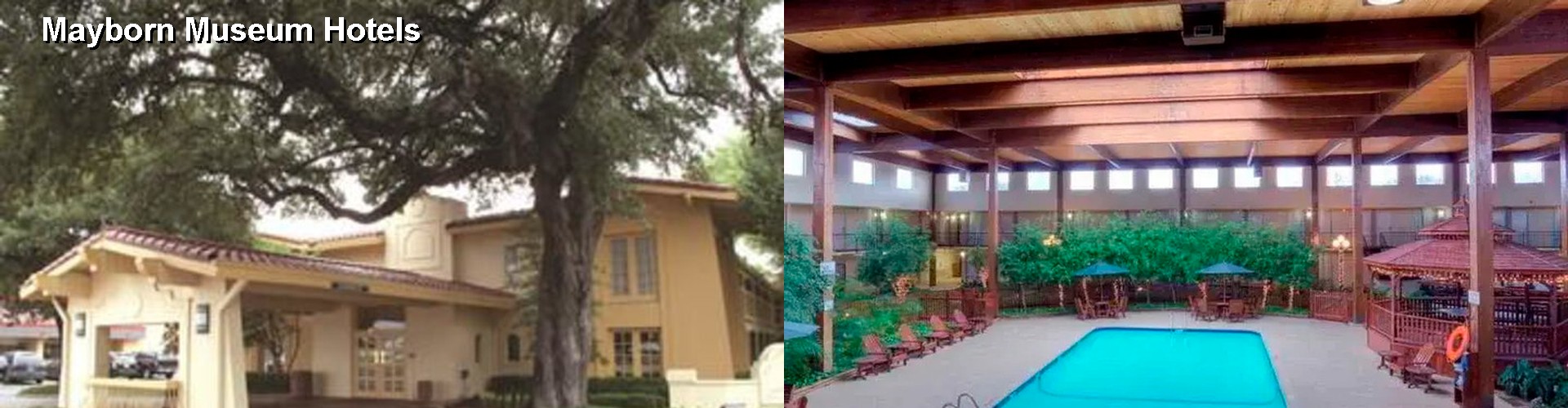 1 Best Hotels near Mayborn Museum