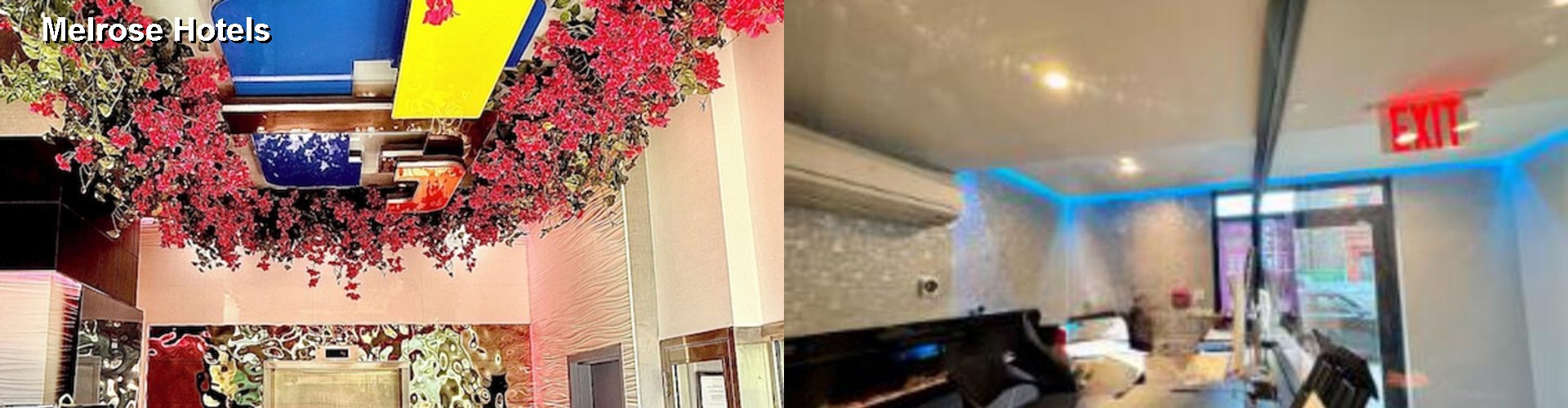 5 Best Hotels near Melrose