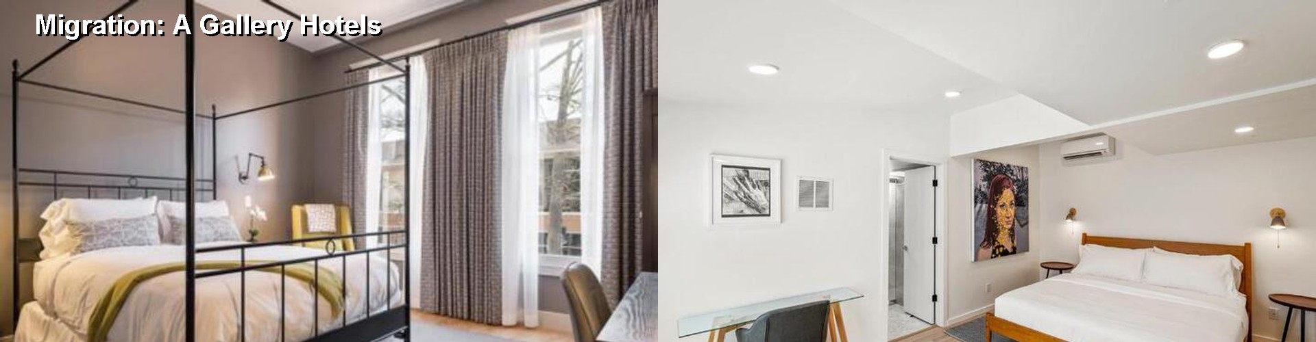 5 Best Hotels near Migration: A Gallery
