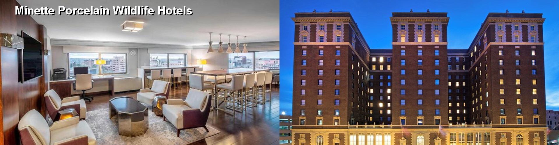 5 Best Hotels near Minette Porcelain Wildlife