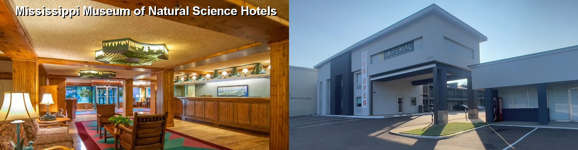 5 Best Hotels near Mississippi Museum of Natural Science