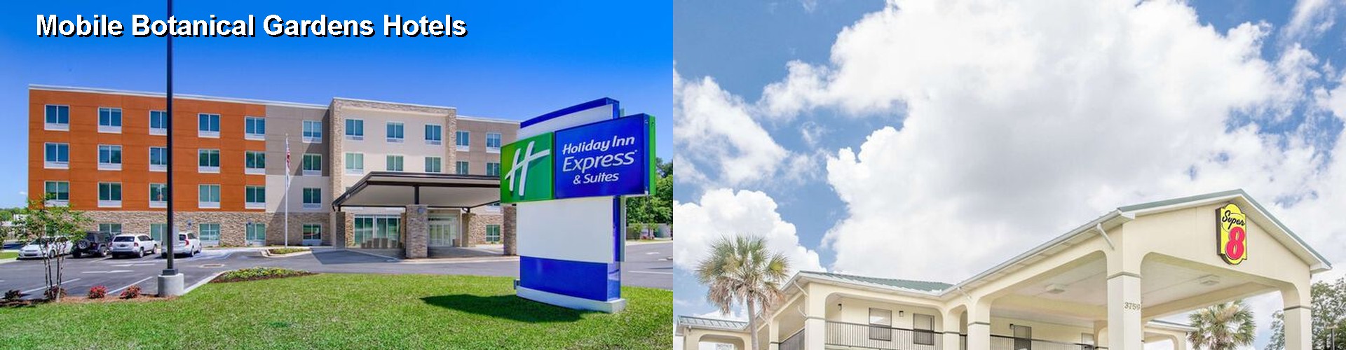 3 Best Hotels near Mobile Botanical Gardens