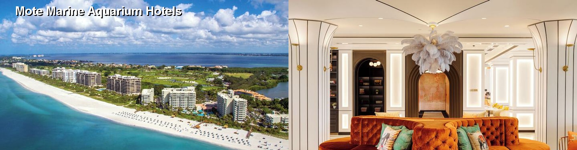 5 Best Hotels near Mote Marine Aquarium