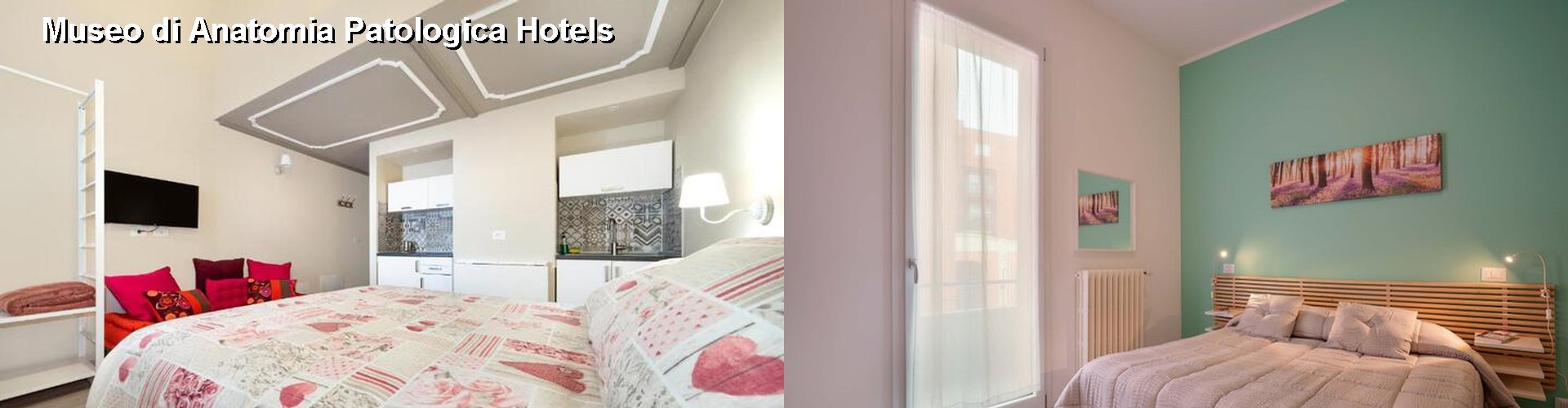 5 Best Hotels near Museo di Anatomia Patologica