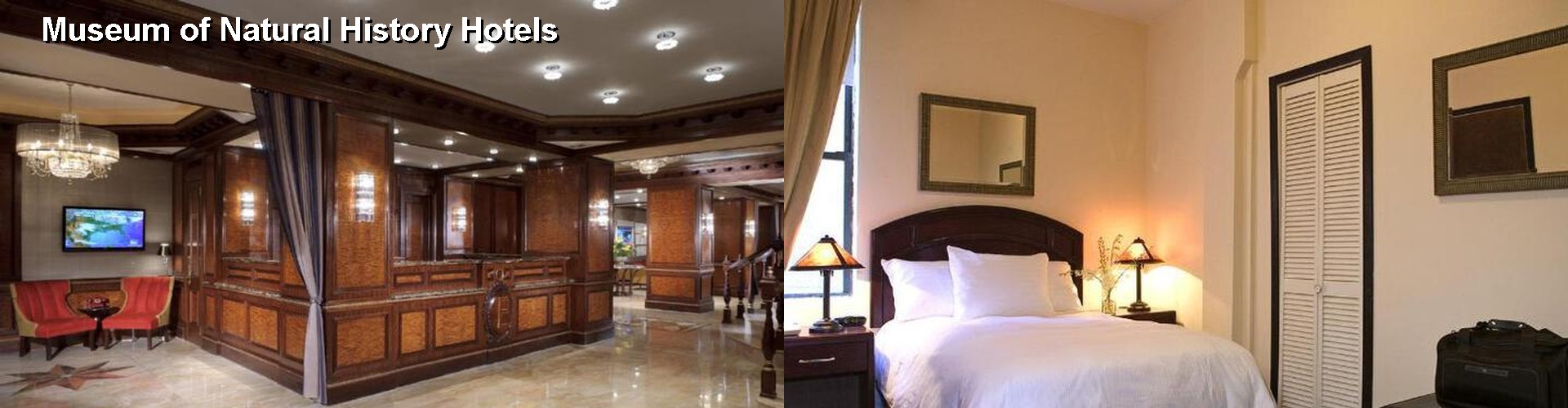 5 Best Hotels near Museum of Natural History