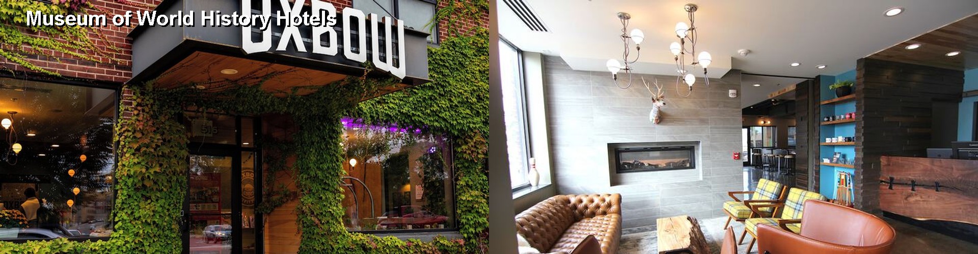 3 Best Hotels near Museum of World History