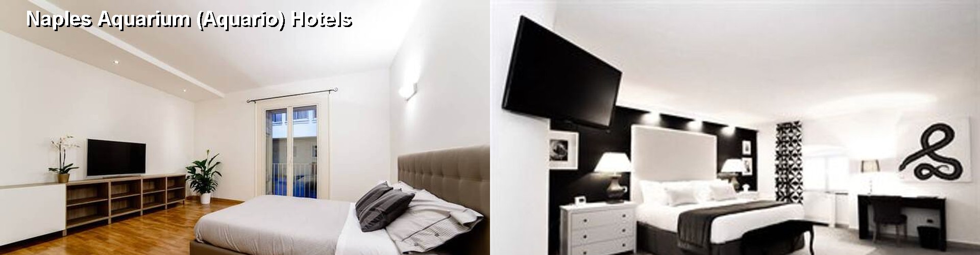 3 Best Hotels near Naples Aquarium (Aquario)