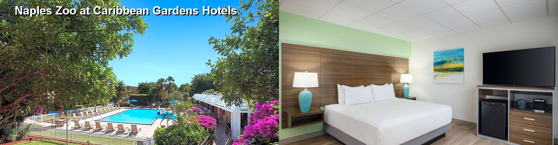 5 Best Hotels near Naples Zoo at Caribbean Gardens