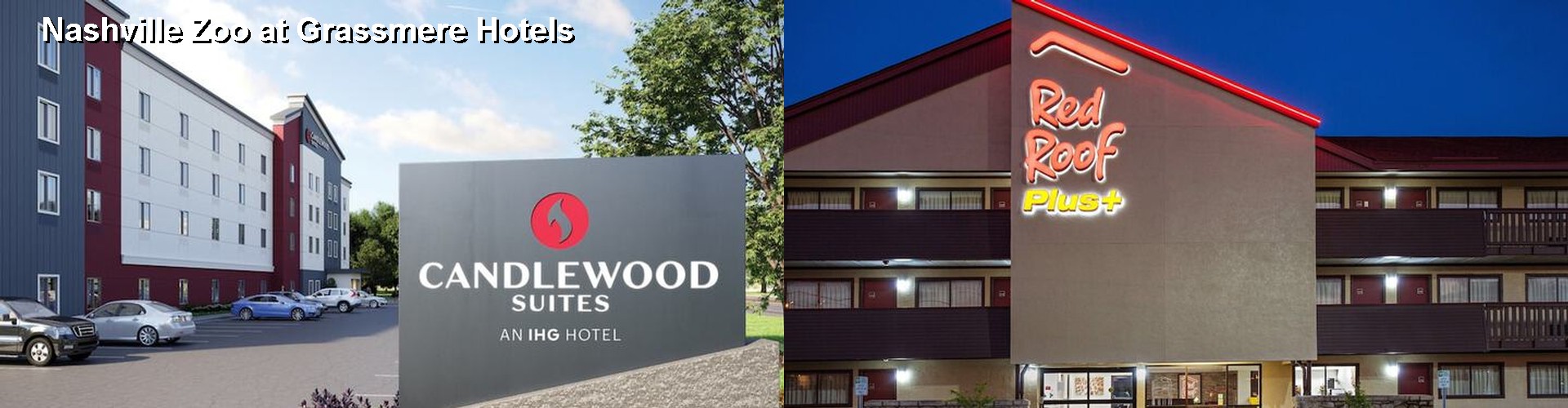 3 Best Hotels near Nashville Zoo at Grassmere