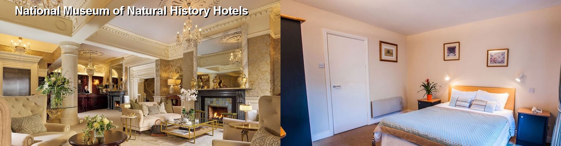 5 Best Hotels near National Museum of Natural History