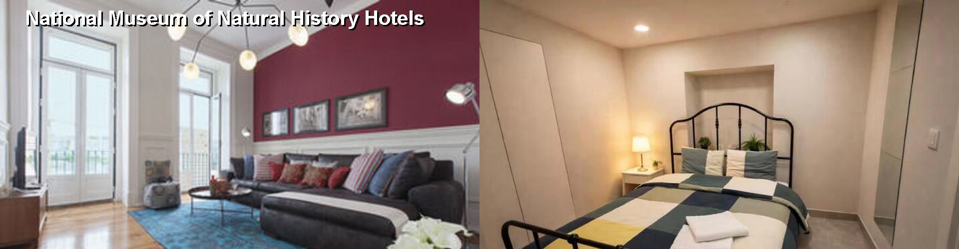 5 Best Hotels near National Museum of Natural History