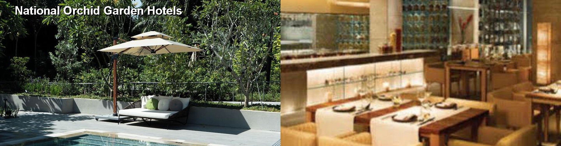 3 Best Hotels near National Orchid Garden