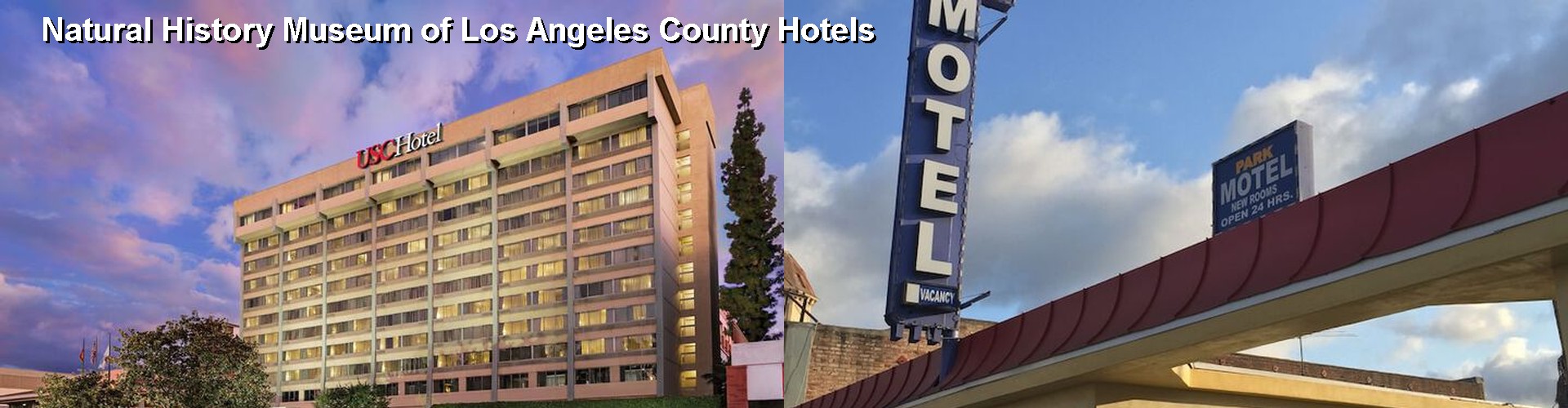 5 Best Hotels near Natural History Museum of Los Angeles County