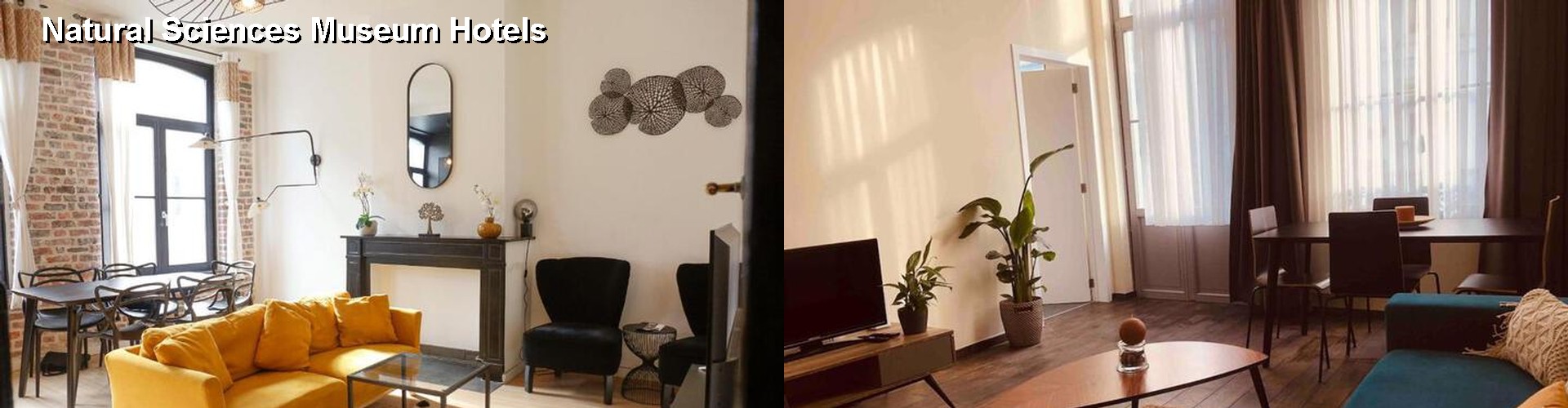 5 Best Hotels near Natural Sciences Museum