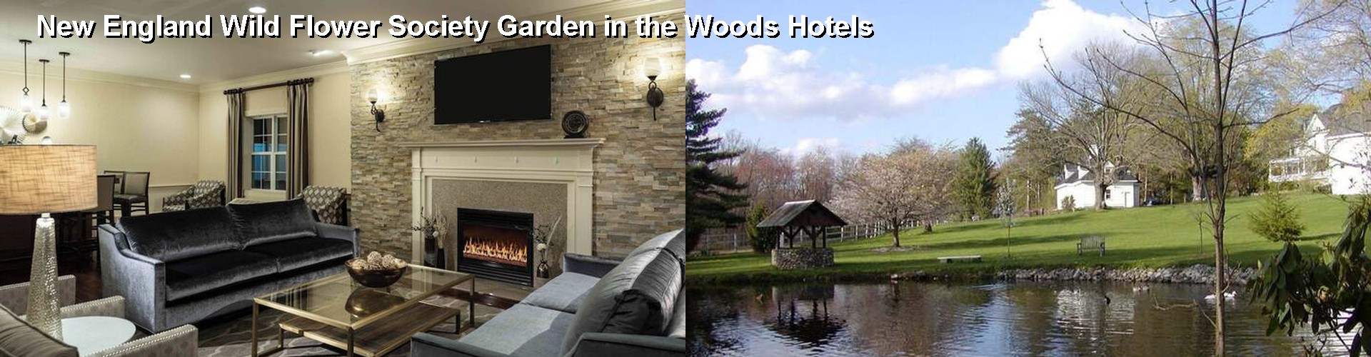4 Best Hotels near New England Wild Flower Society Garden in the Woods