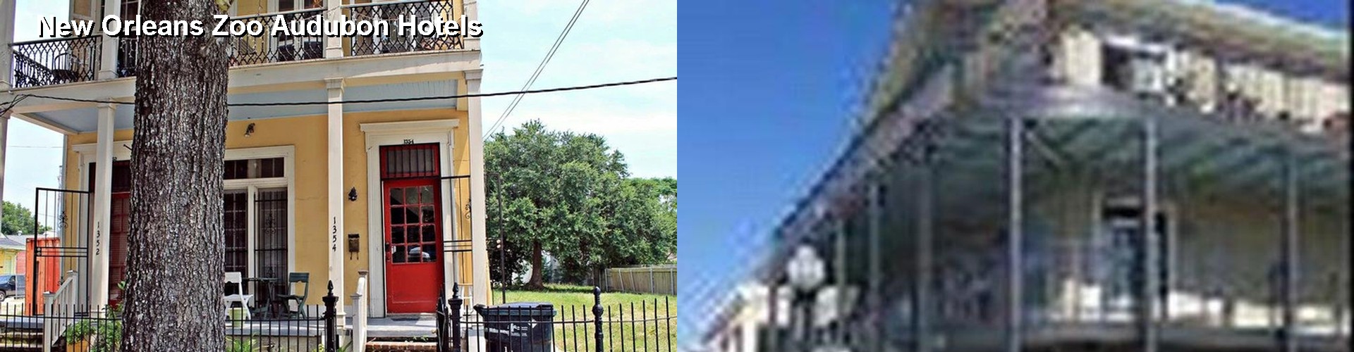 3 Best Hotels near New Orleans Zoo Audubon