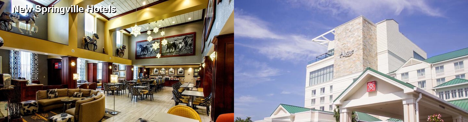 3 Best Hotels near New Springville