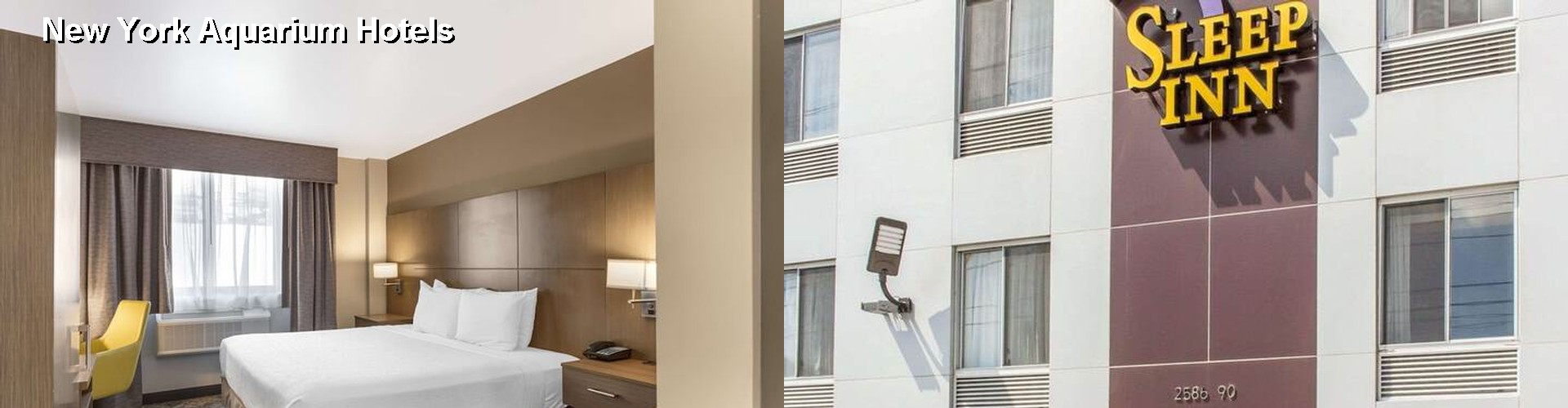 4 Best Hotels near New York Aquarium
