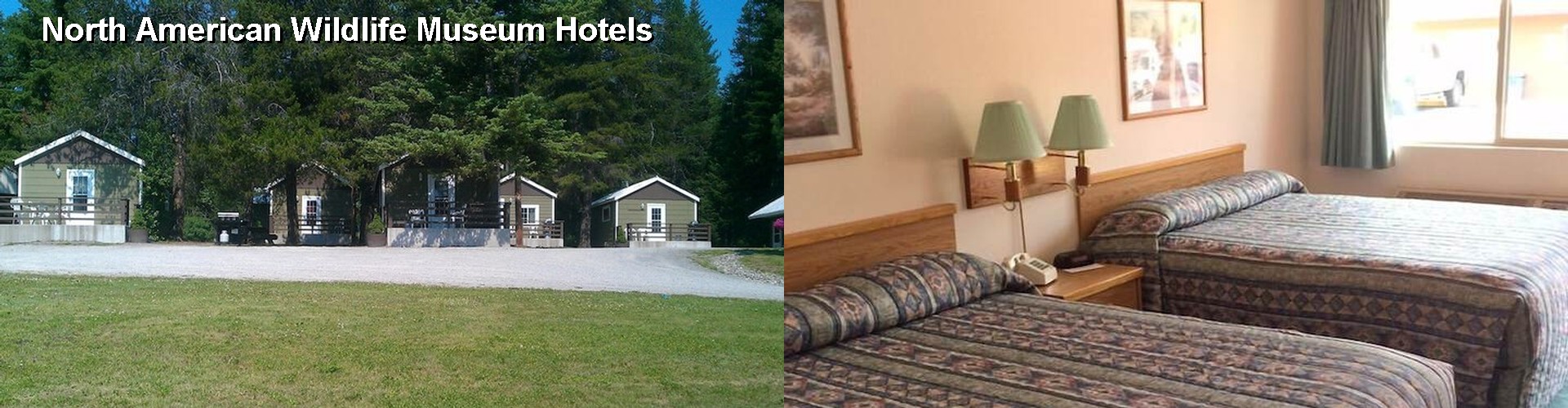 5 Best Hotels near North American Wildlife Museum