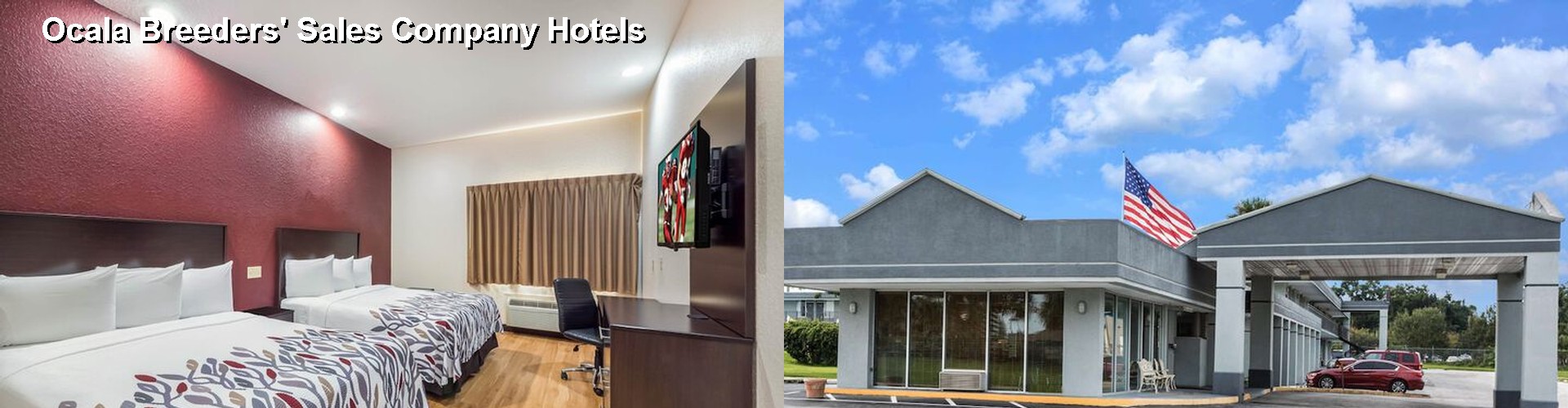 3 Best Hotels near Ocala Breeders' Sales Company