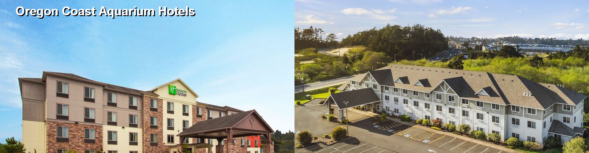 5 Best Hotels near Oregon Coast Aquarium