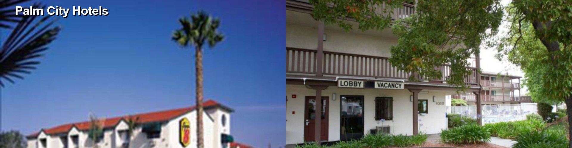 3 Best Hotels near Palm City