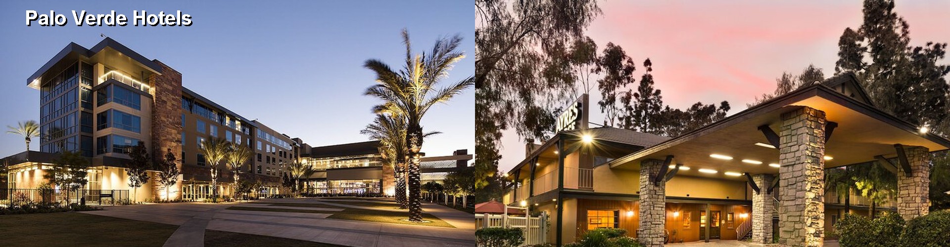 5 Best Hotels near Palo Verde