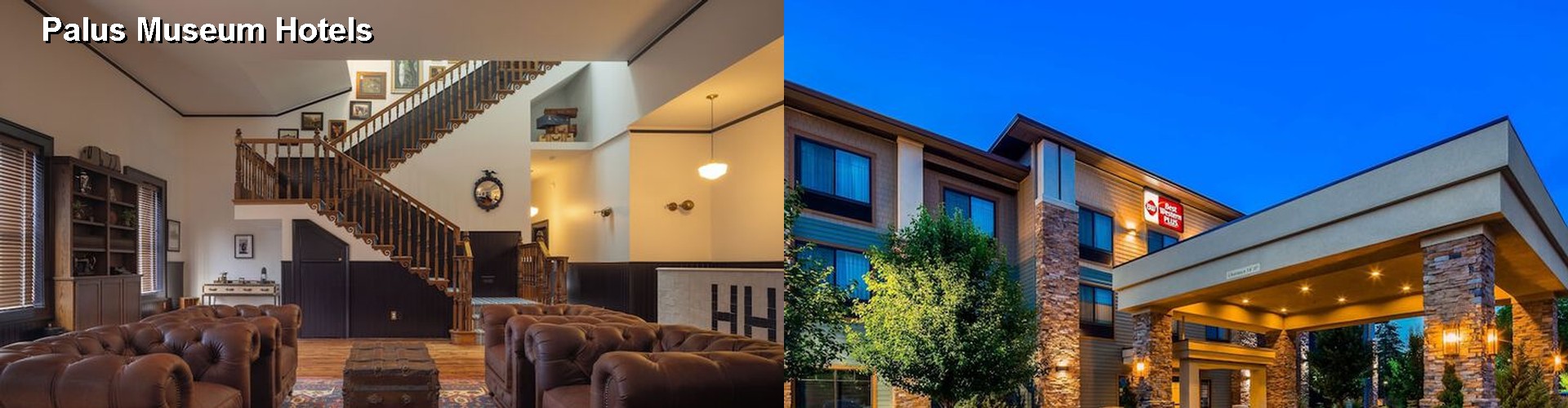 5 Best Hotels near Palus Museum