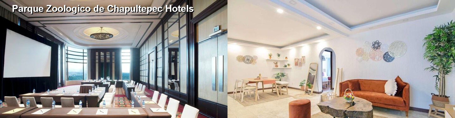 5 Best Hotels near Parque Zoologico de Chapultepec