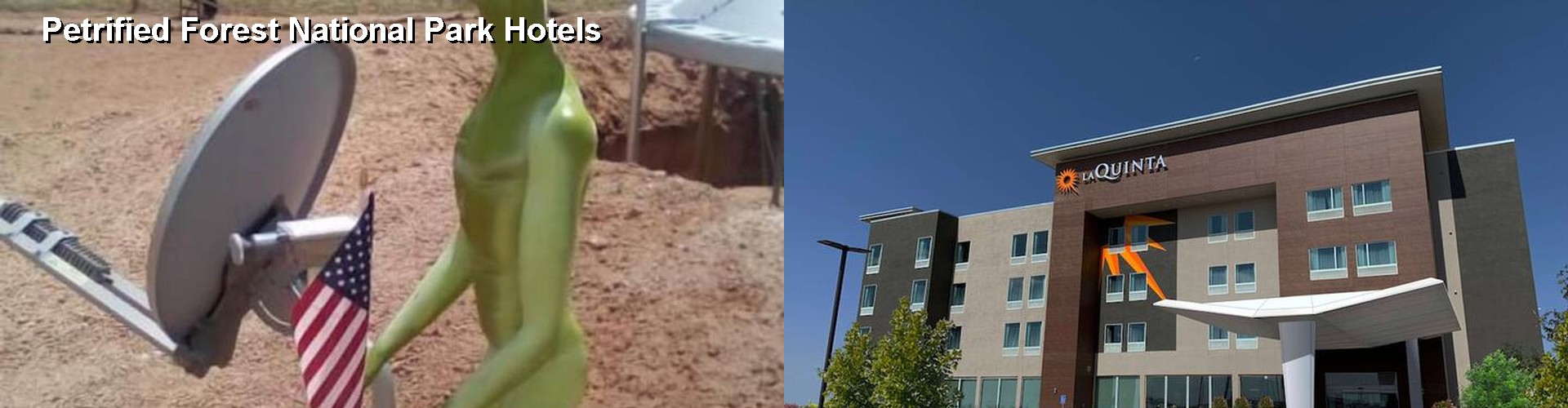 4 Best Hotels near Petrified Forest National Park