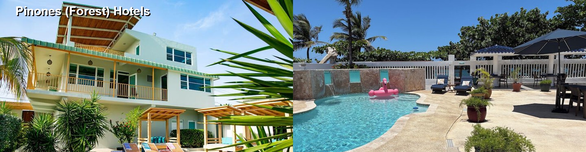 4 Best Hotels near Pinones (Forest)