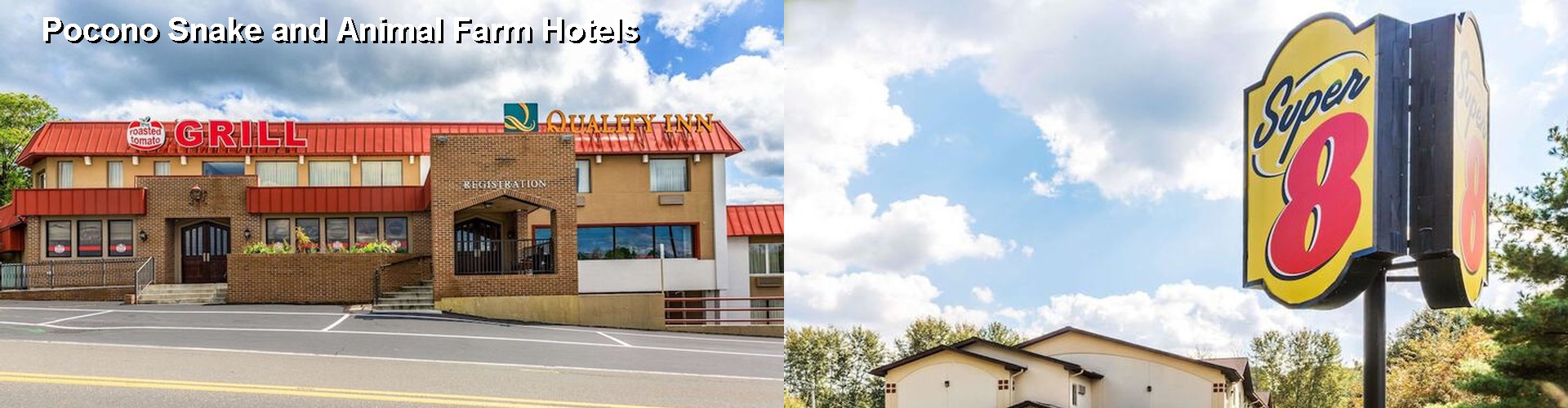 4 Best Hotels near Pocono Snake and Animal Farm