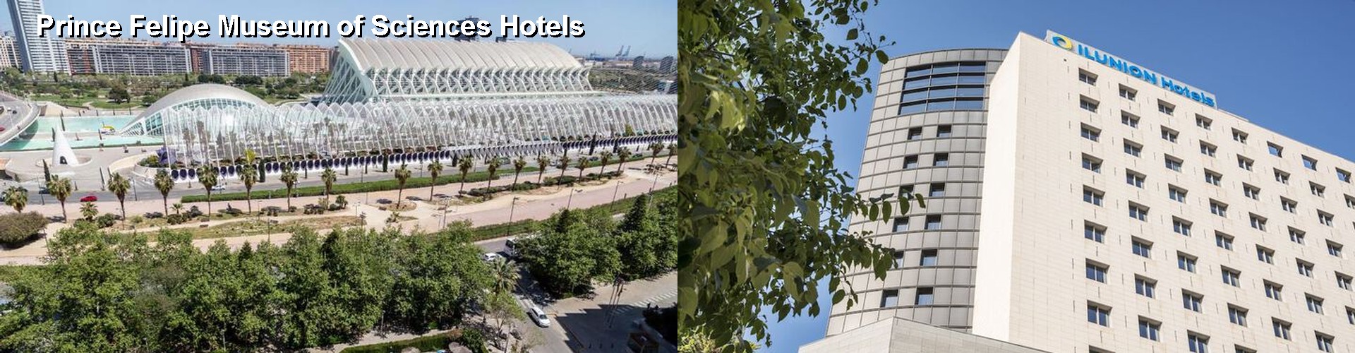 5 Best Hotels near Prince Felipe Museum of Sciences