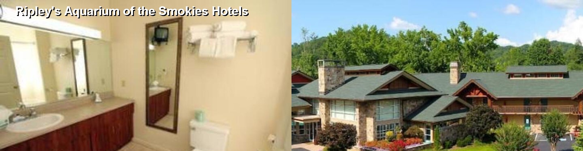 4 Best Hotels near Ripley's Aquarium of the Smokies