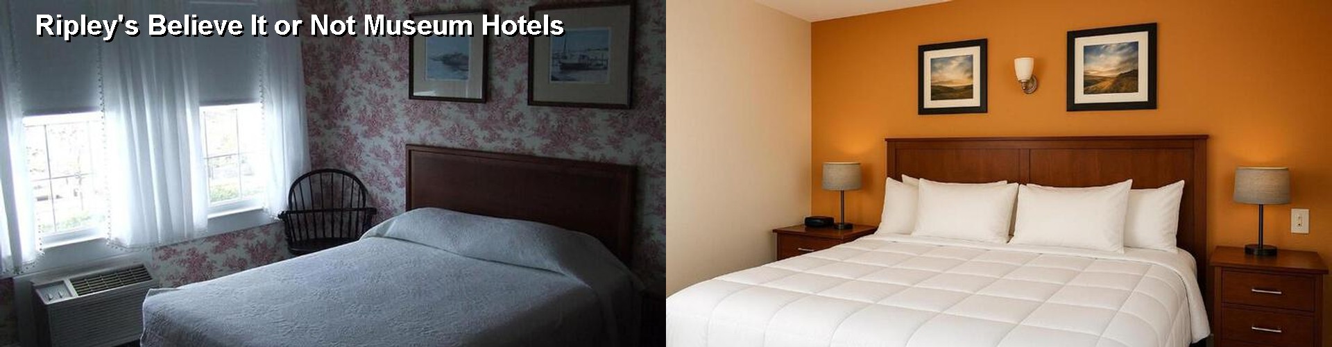 5 Best Hotels near Ripley's Believe It or Not Museum