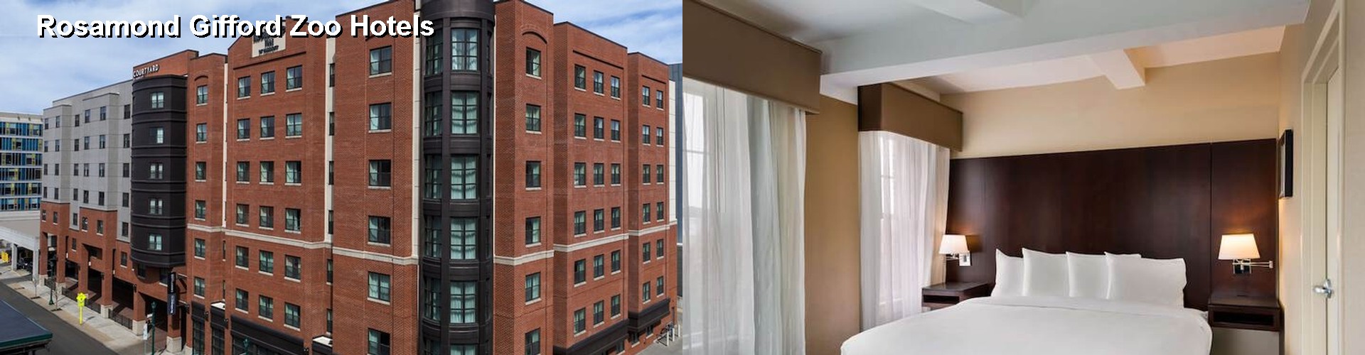 5 Best Hotels near Rosamond Gifford Zoo