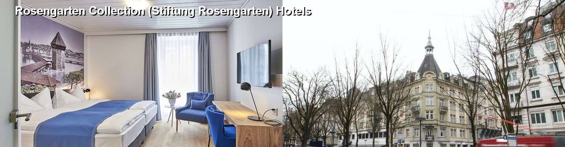 5 Best Hotels near Rosengarten Collection (Stiftung Rosengarten)