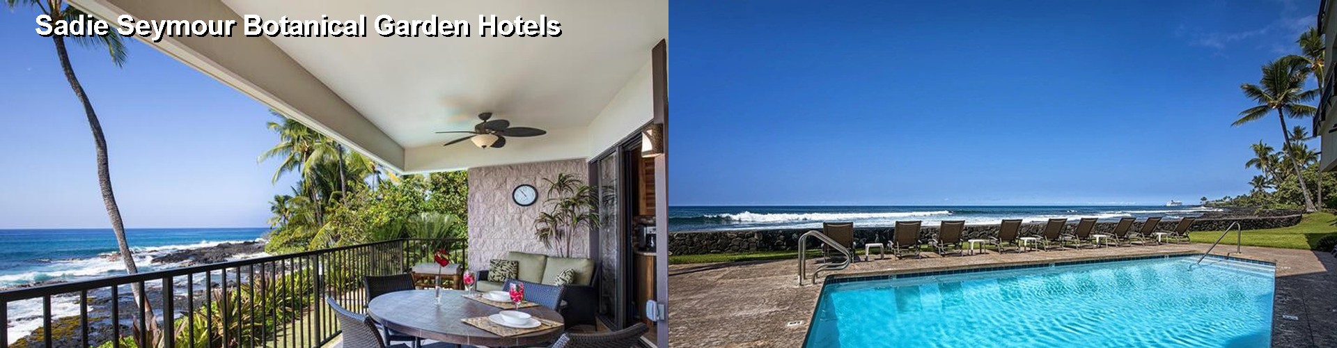 0 Best Hotels near Sadie Seymour Botanical Garden